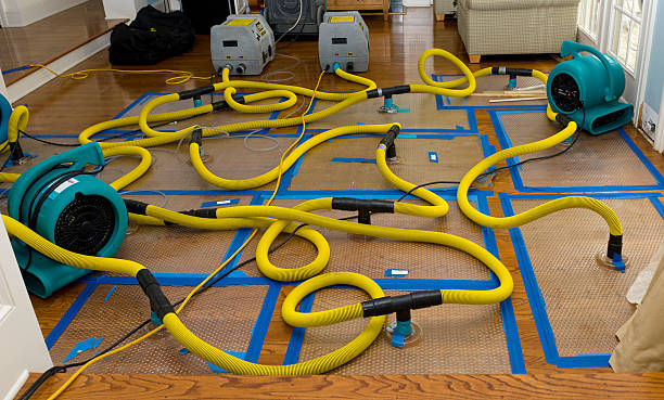 Professional Water Extraction technician working in Decatur, AL